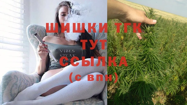 индика Богданович