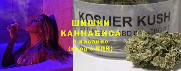 PSILOCYBIN Богородицк