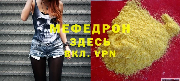 индика Богданович