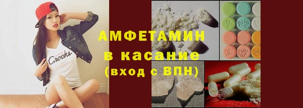 индика Богданович