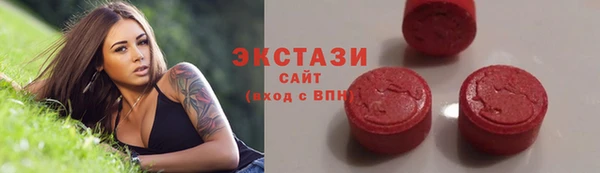 индика Богданович