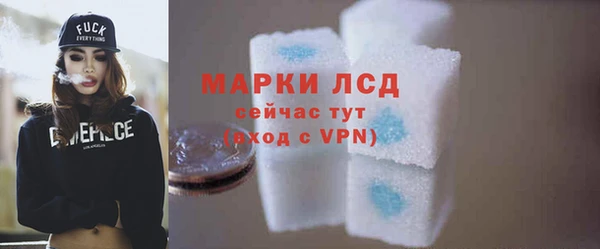 индика Богданович
