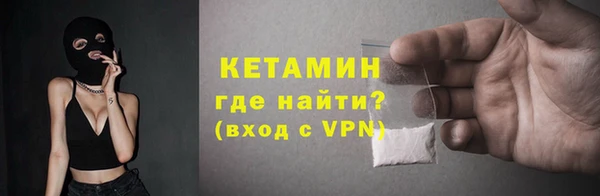 индика Богданович