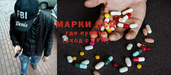 индика Богданович