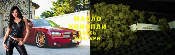 индика Богданович
