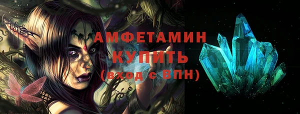 индика Богданович