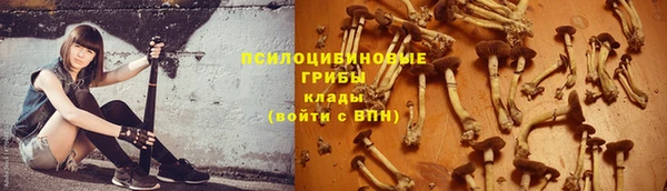PSILOCYBIN Богородицк